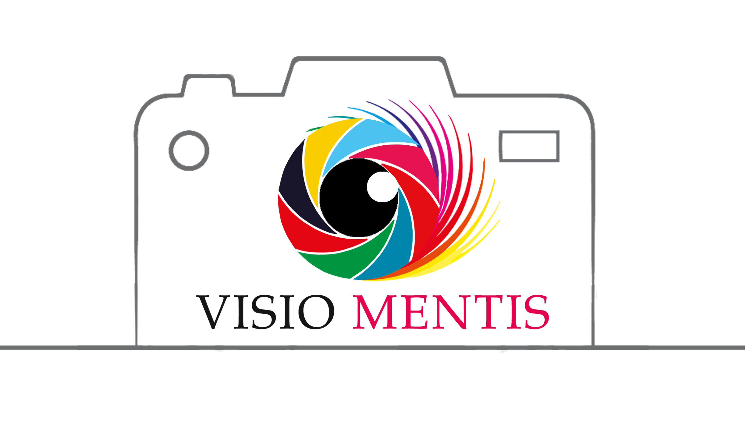 VisoMentis_Slide